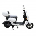 BN-002 QS